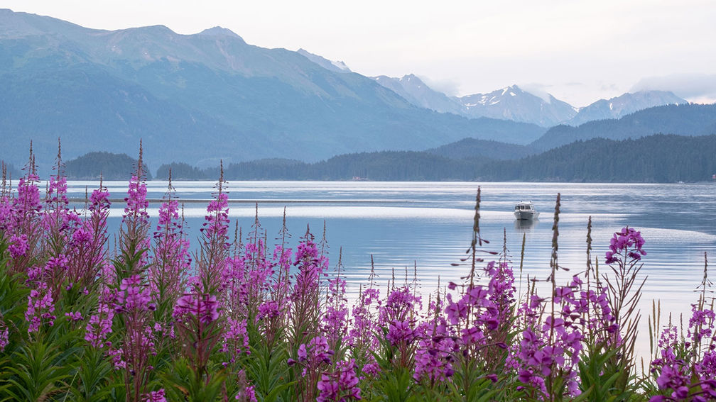The Best New Alaska Tours for 2022
