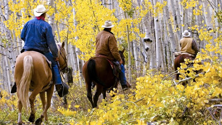 So far, more than 20 destinations across Colorado have adapted the campaign to their own needs, with custom initiatives to localize the message while maintaining statewide impact.