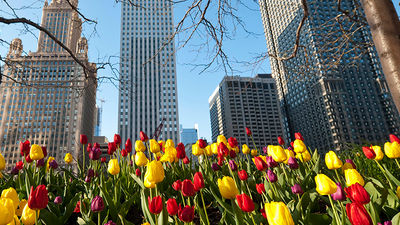 Chicago’s tourism scene is burgeoning with a boom in restaurants and hotels. // © 2014 Choose Chicago