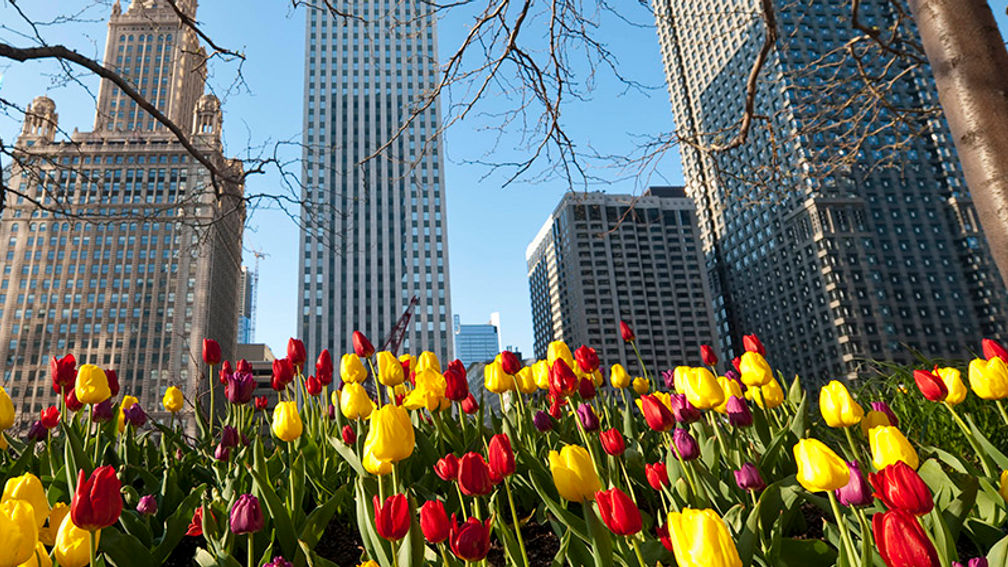 ChicagoTourismBoom_FEATURE