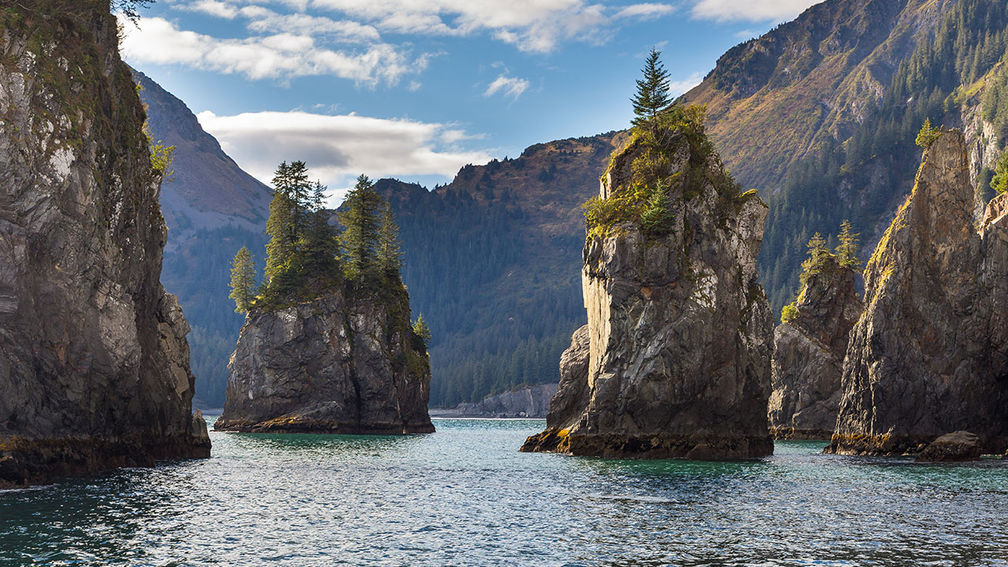 Why a Day Cruise Is Ideal for Visiting Kenai Fjords National Park