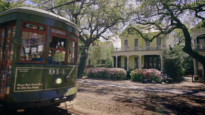 How to See New Orleans Like a Local