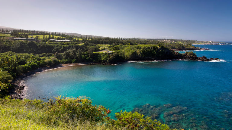 One local Maui staffer said the island is incredibly green after the rains.