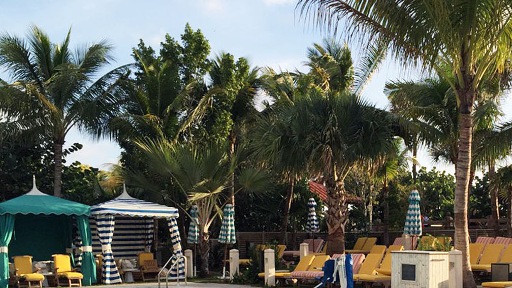 MiamiCruisers_FEATURE