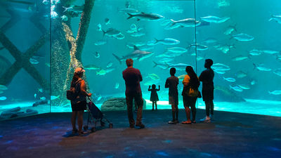 New Orleans Travelers Can Now Visit the Aquarium and Insectarium Under One Roof