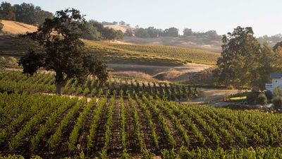 Justin features stunning views as well as award-winning wine. // © 2018 Justin Vineyards & Winery