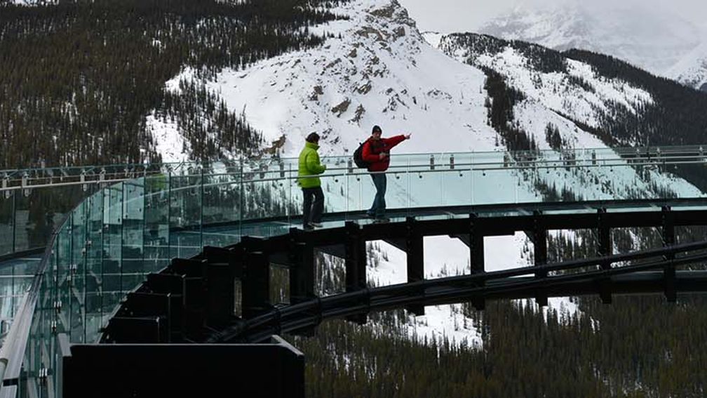 AlbertaSkywalk_LARGE