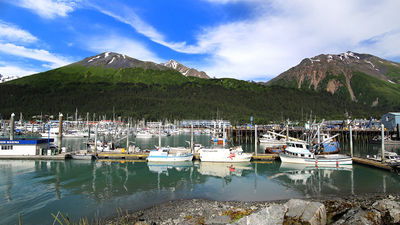 Tours to Kenai Fjords National Park leave from Seward Boat Harbor.