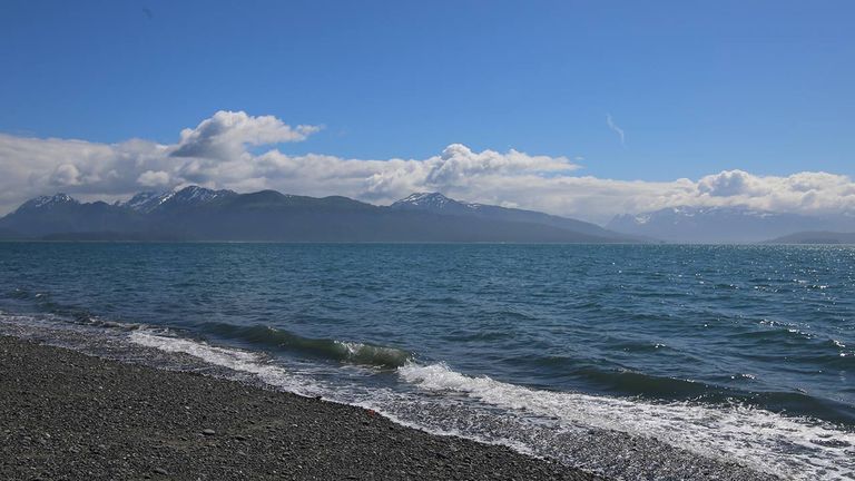 The black-sand beach opposite Homer Spit gives visitors a sense of the area’s nature offerings.