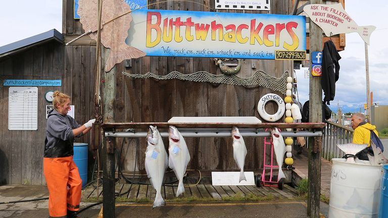 Even if you don’t come to Homer to fish, you’ll likely see or hear about the day’s catch.