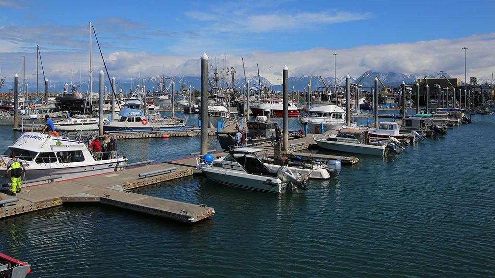 What to Do in Homer, Alaska, Besides Fishing