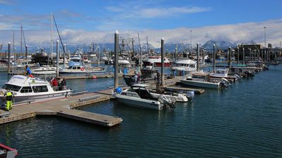 What to Do in Homer, Alaska, Besides Fishing