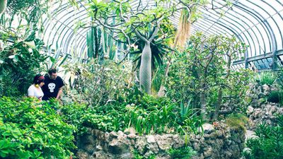 Visit Belle Isle Conservatory in Belle Isle Park.