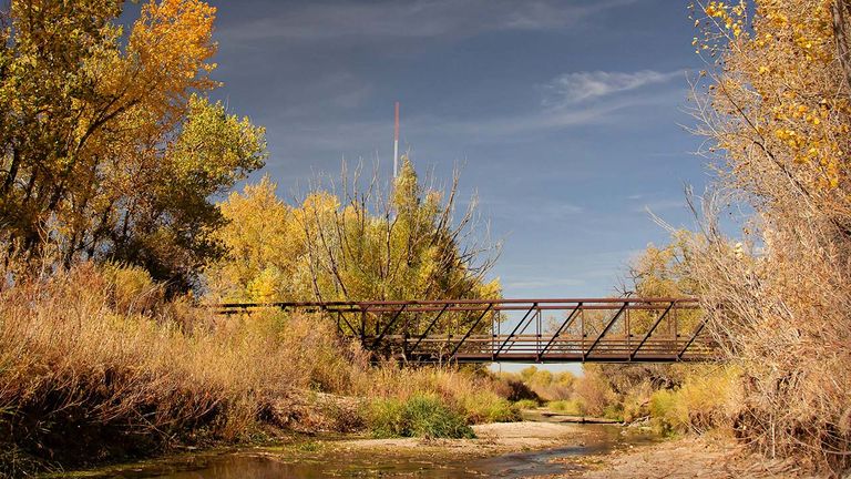 clients can immerse themselves in nature on Cherry Creek Trail.