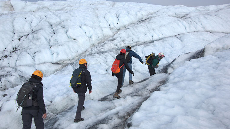 Well-trained guides discuss natural history and geology during glacier tours.