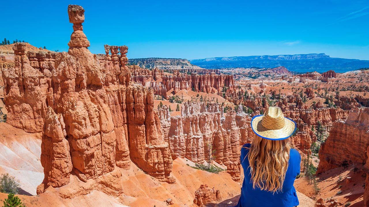 How Top Tour Operators Have Adapted to COVID-19