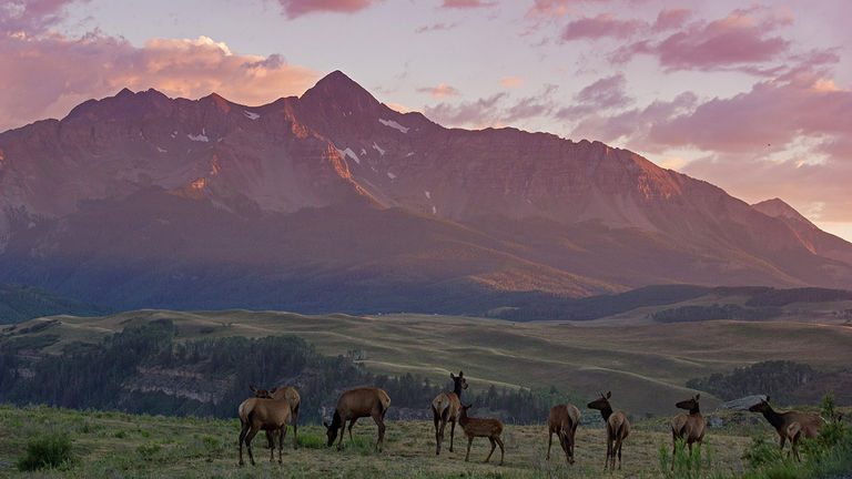 Work off all that delicious food with a hike to the summit of 14,017-foot Wilson Peak.