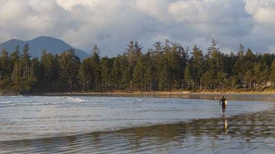 Up Close with Wildlife in Tofino