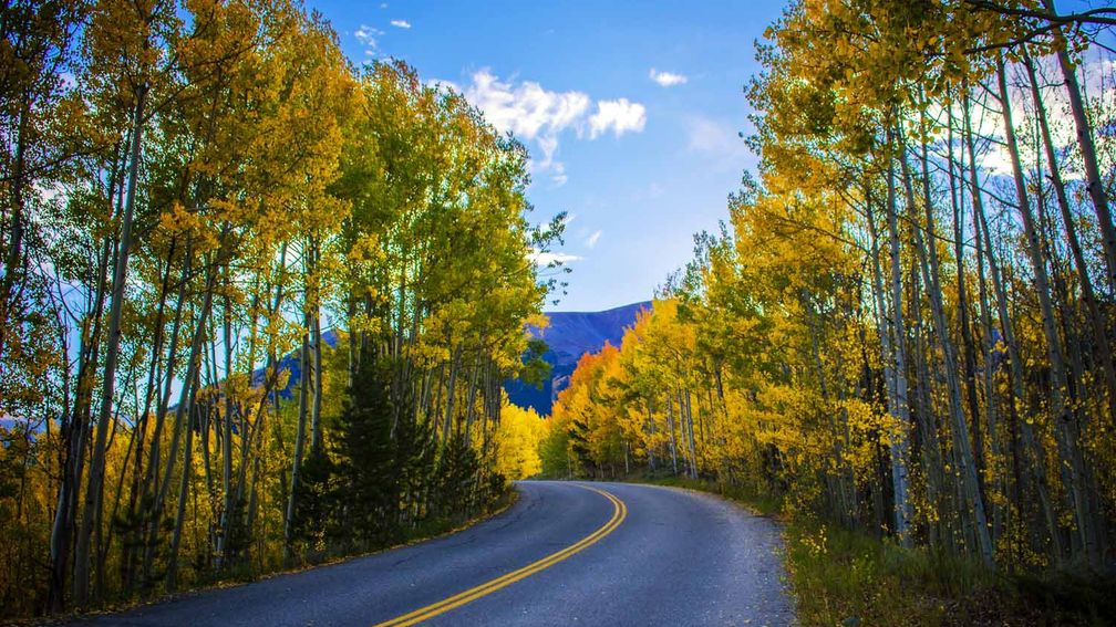 The Top 10 Popular Fall Road Trip | TravelAge West