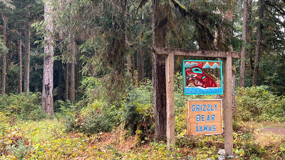 Visitors to Vancouver Island have many opportunities to spot wildlife (including grizzly bears).