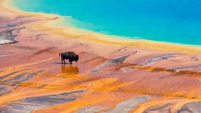 The U.S. National Parks system preserves treasured American land, and it needs traveler support now more than ever.