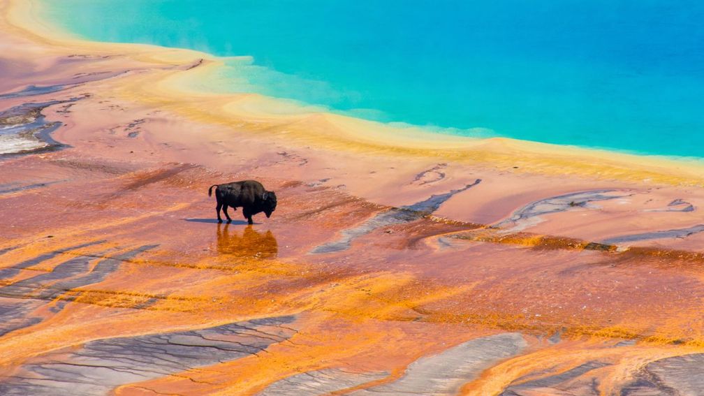 Yellowstone_NP