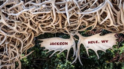 Jackson Hole has launched "Selfie Control," a new Instagram filter that aims to keep visitors safe.