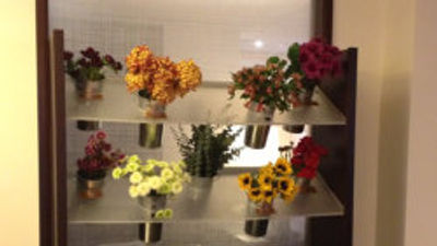 Fresh Flowers Brighten Guests Stay at Hyatt Regency Century Plaza