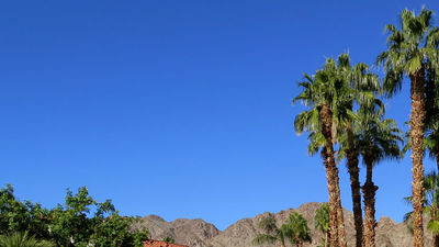 La Quinta Resort & Club has lured artists and celebrities to the desert since its opening in 1926. // © 2014 Samantha Davis-Friedman F
