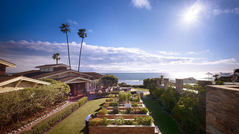 Chef Benjamin Martinek’s seasonal menu at Studio sources produce and more from the dinner venue’s newly replanted 1,000-square-foot garden.