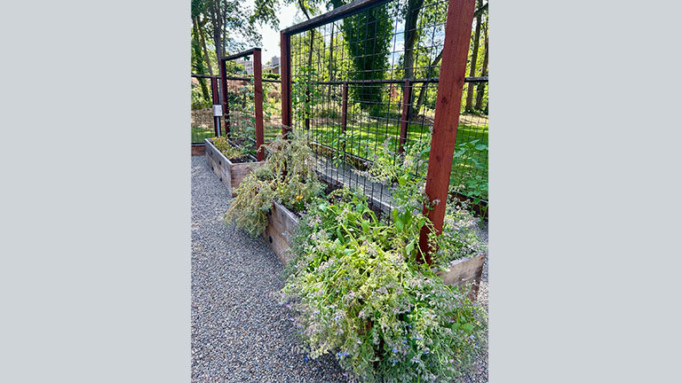 Silverado’s new Chef’s Garden grows a variety of seasonal produce.