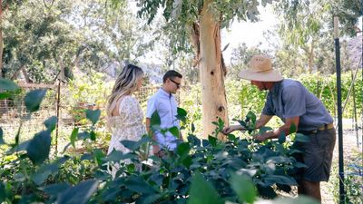 The Ranch at Laguna Beach has become the first California hotel to receive the Surfrider Foundation's Ocean Friendly Hotel status.