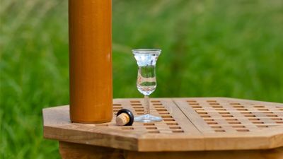 Genever and Cheese: The Tastes of Northern Holland