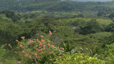 Making the Most of Rainy Days in Jamaica