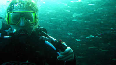 Been There, Do This: Diving in the Galapagos Islands