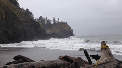 Been There, Do This: Waikiki Beach in Washington State