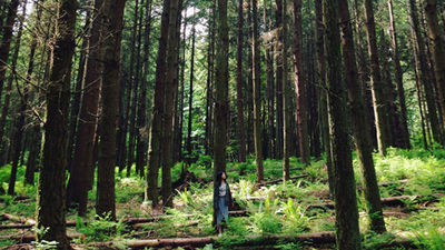 Been There, Do This: Stanley Park in Vancouver
