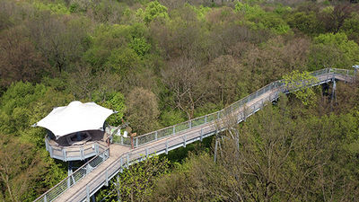 Been There, Do This: Hainich National Park in Germany