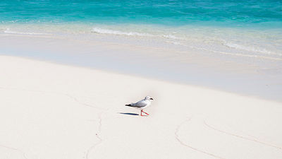 Been There, Do This: Turquoise Bay in Western Australia