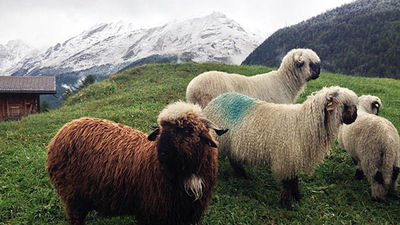 Been There, Do This: Furi, Switzerland