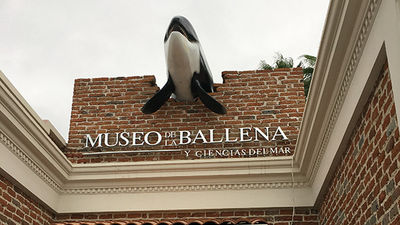Been There, Do This: Whale Museum in La Paz, Mexico