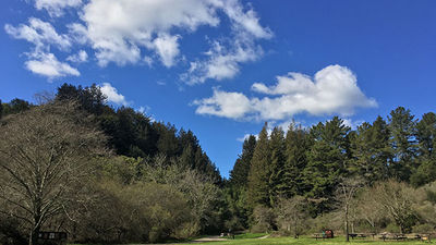 Been There, Do This: Redwood Regional Park in Oakland, California