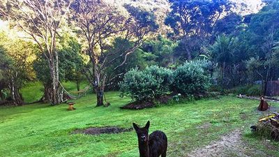 Been There, Do This: Waiheke Island Guesthouse in New Zealand