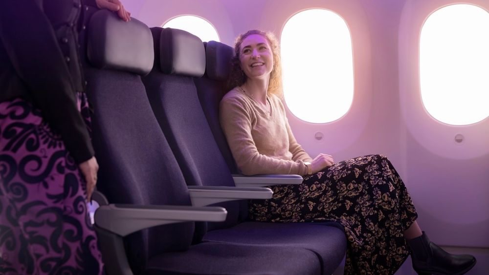 Economy-class innovation aims to make affordable airline seating more attractive.