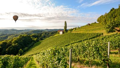 The seasonal flights are designed to highlight Napa Valley during harvest time.
