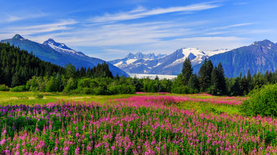 Cunard's Queen Elizabeth is sailing Alaska.