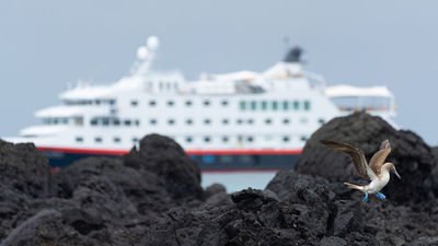 Where to Find the Best Expedition Cruises Outside the Poles