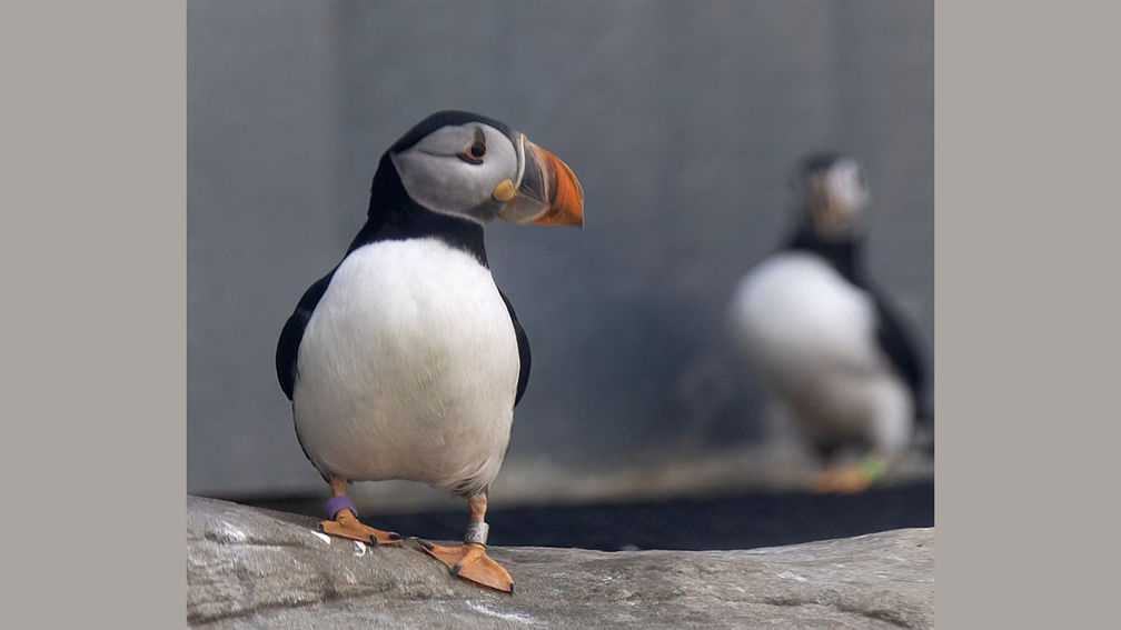 HX Foundation Launches to Support Local Communities and Environmental Initiatives