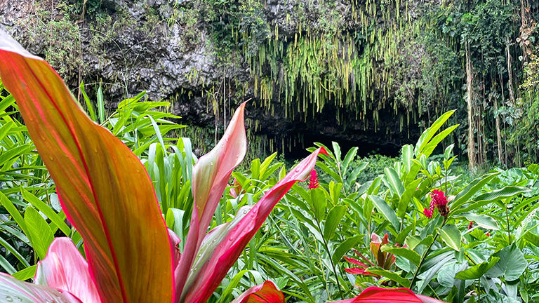 Clients on Pride of America’s Hawaii sailings can see a variety of Hawaii scenery.