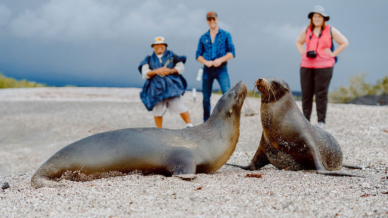 Travelers can have up-close sightings of endemic animals, such as Galapagos sea lions.
